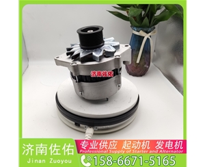 山西S00020830+01启动机504225814 上柴 杰狮 Sany Trucks 欧霸重卡 13 发电机